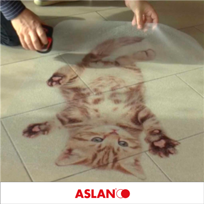 ASLAN PrintNGo Indoor R13 - DFP43 & DFP44