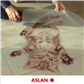 ASLAN PrintNGo Indoor R13 - DFP43 & DFP44