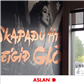 ASLAN CA30 - Digital Metal Effect